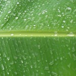 SANYO DIGITAL CAMERA